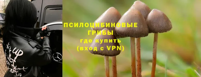 blacksprut как зайти  Слюдянка  Галлюциногенные грибы Cubensis 